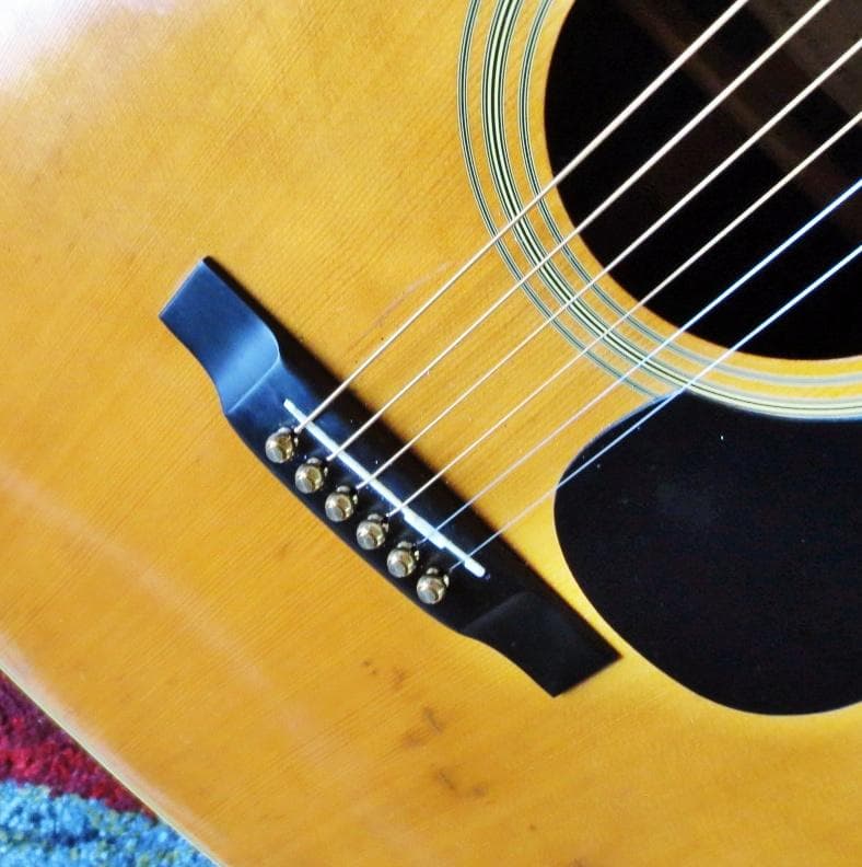 初心者でもとても弾き易い猫の目　Cat's Eyes CE-300