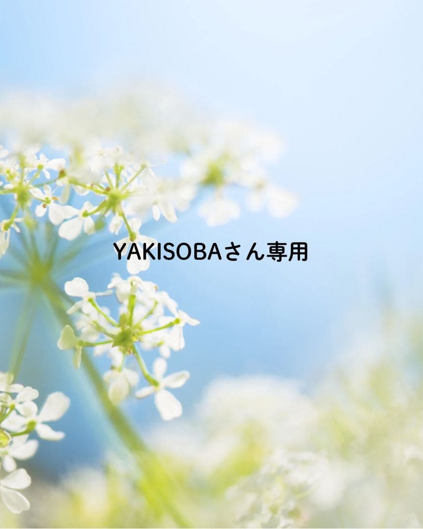 YAKISOBAさん専用