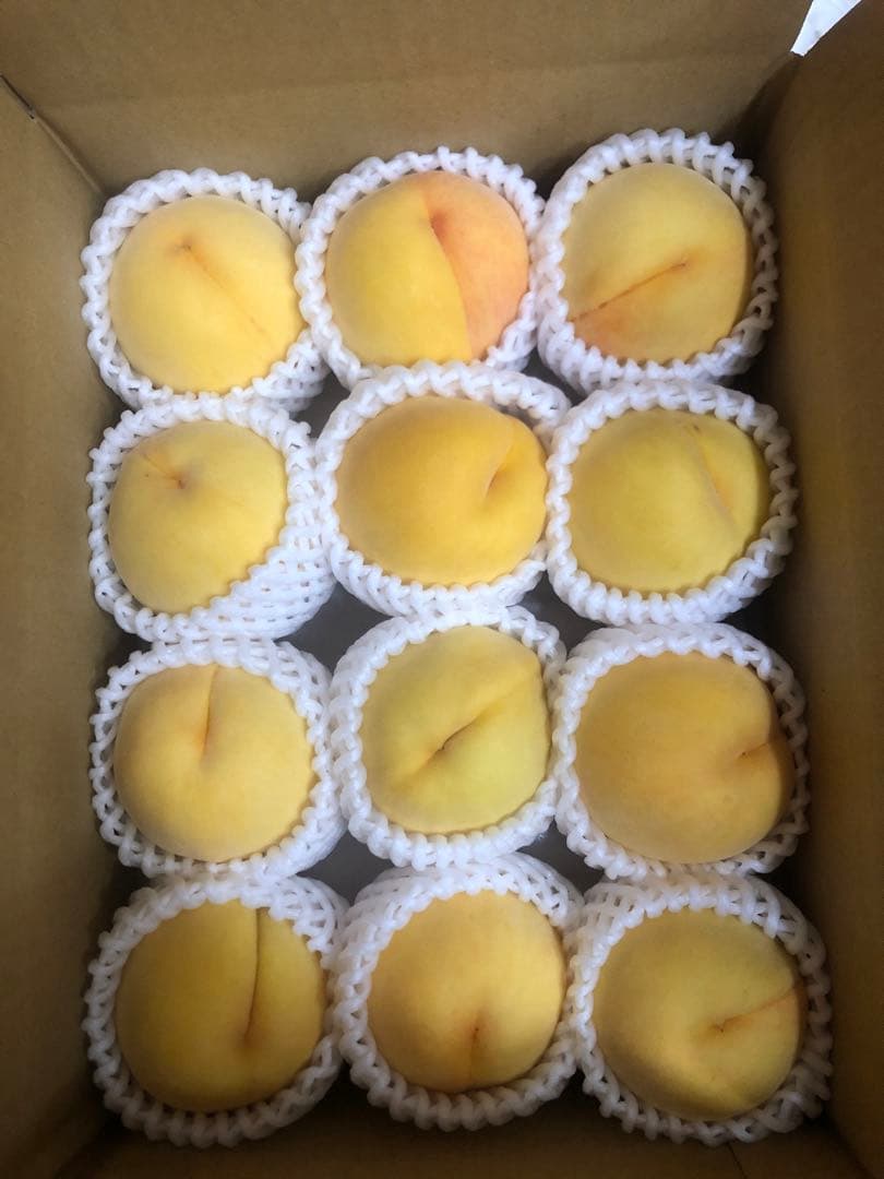 951クール便福島県産朝採り完熟黄金桃8-12玉入り箱込み約2.8kg前後*2