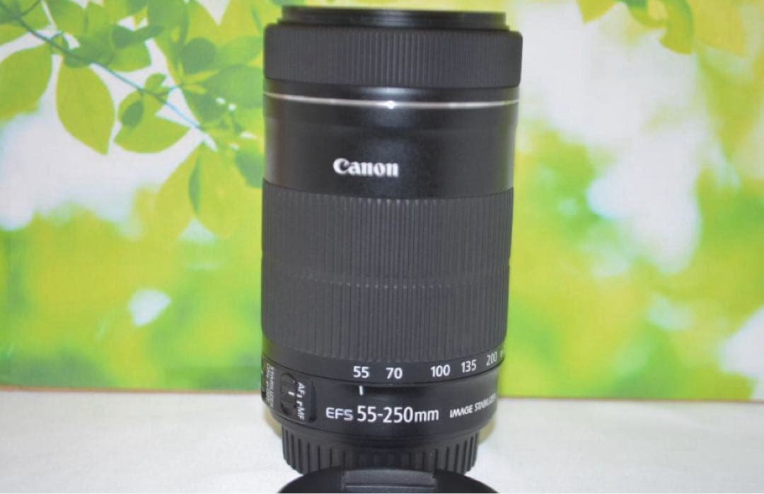 美品❤️超静音レンズ❤️Canon EF-S 55-250mm IS STM