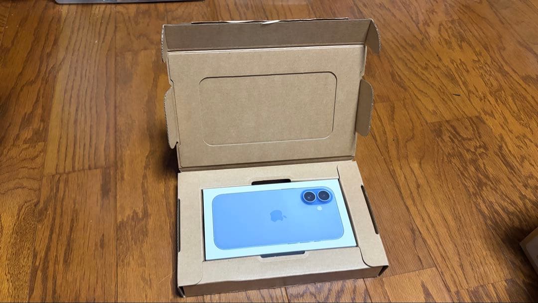 Apple iPhon17本体 ケース.ストラップほか付256GB ミストブルー