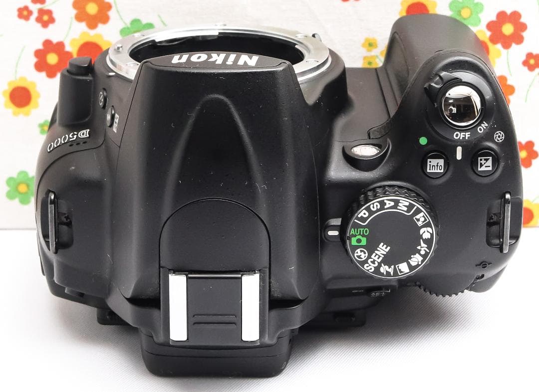 ニコン Nikon D5000☆ダブルレンズ♪☆スマホに転送！☆初心者の方に
