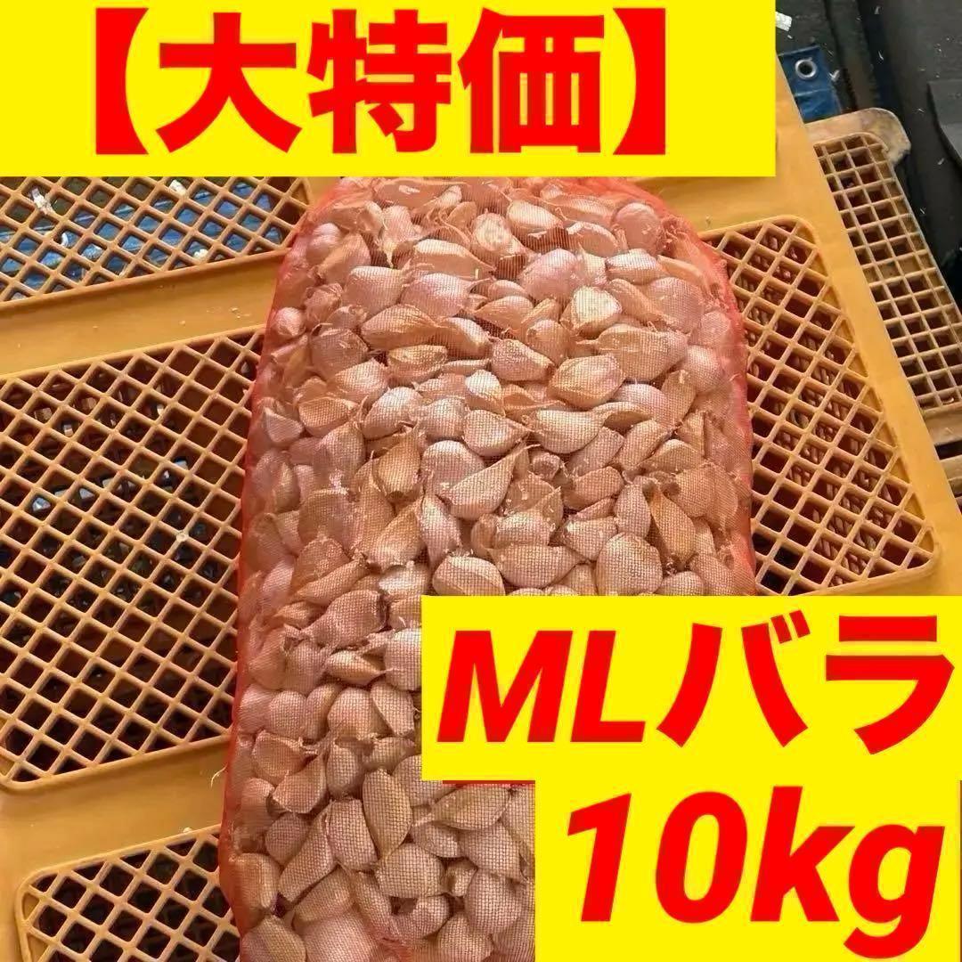 【数量限定】新物 青森県産 にんにく MLバラ 10kg 福地ホワイト 種 加工