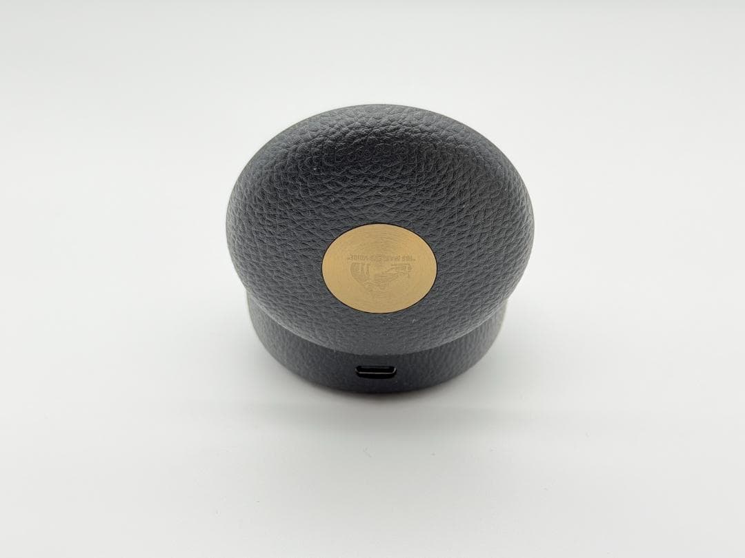 Victor WOOD master 完全ワイヤレスイヤホン