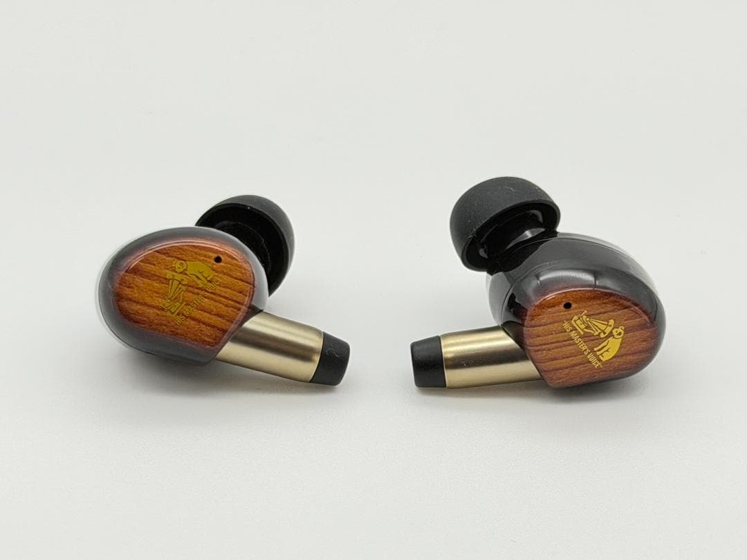 Victor WOOD master 完全ワイヤレスイヤホン