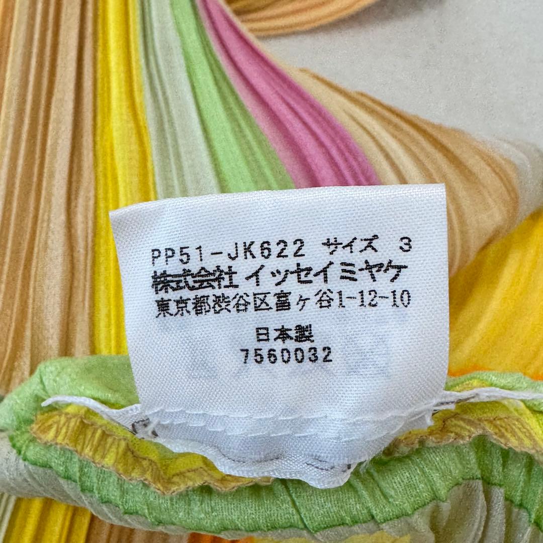 極美品✨PLEATS PLEASE 斜めプリーツ　変形　レインボー　チュニック