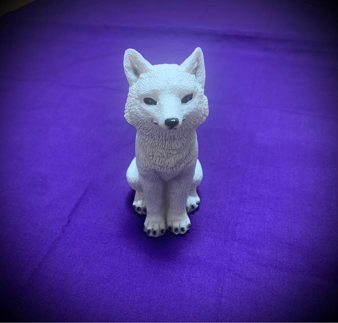 【AA級呪物】幸運を引き寄せる陰陽狐「荼枳尼」※宿命の扉商品