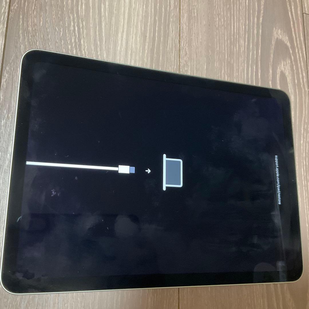 Apple iPad Air第4世代 256GB 本体(Wi-Fiモデル)