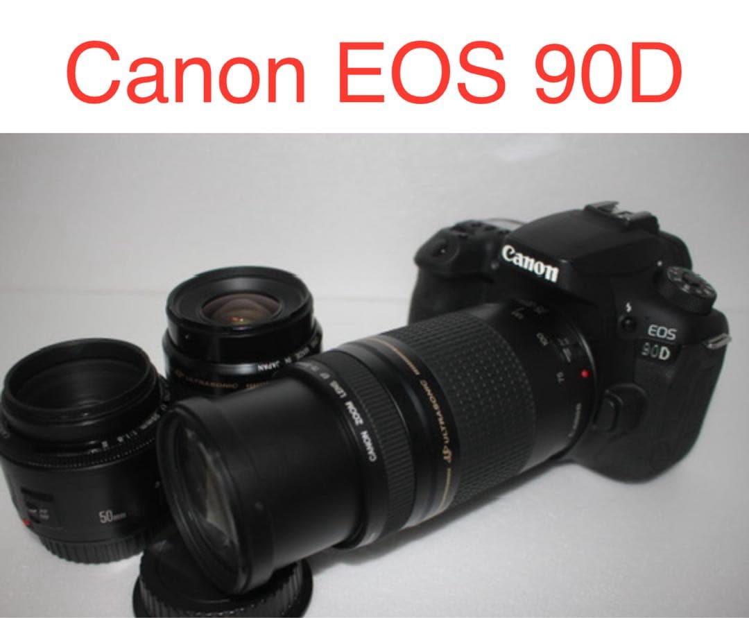デジタル一眼レフカメラCanon EOS 90D標準&望遠&単焦点レンズセット