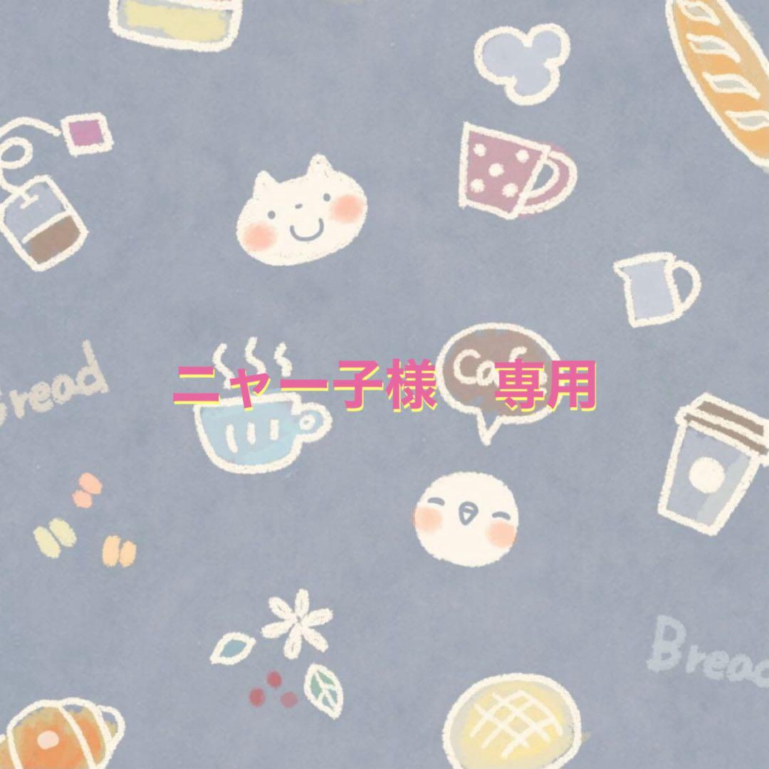 フラーレン　ニャー子　s