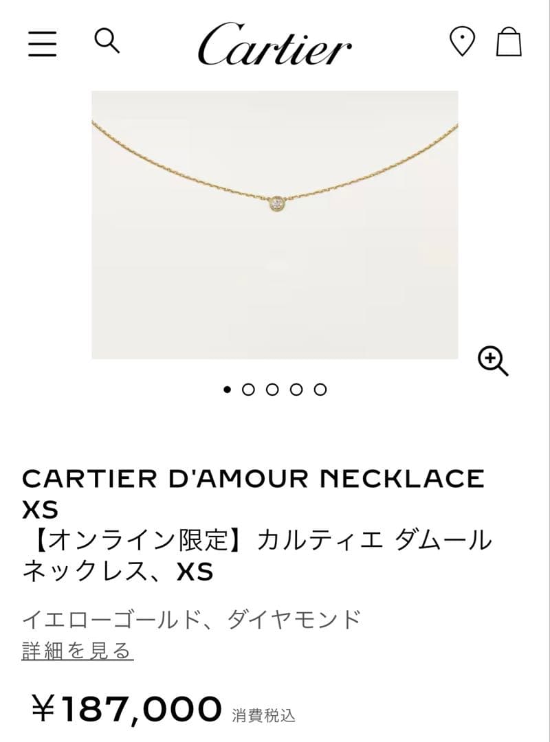 Cartier ダムール xs ネックレスYG 2025購入