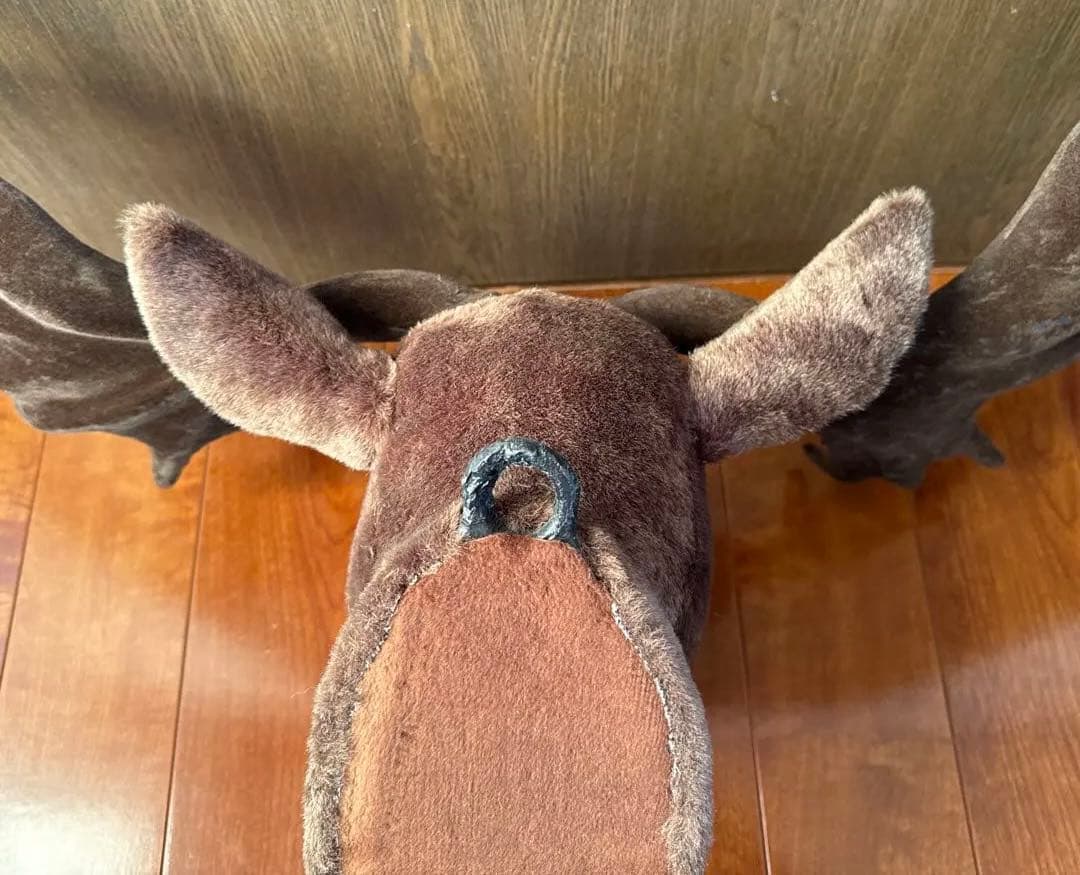 ハンティングトロフィー　鹿