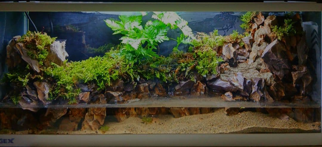 ️⭕️本日限定お値下げ️⭕️ 大型 アクアテラリウム 水槽 完成品