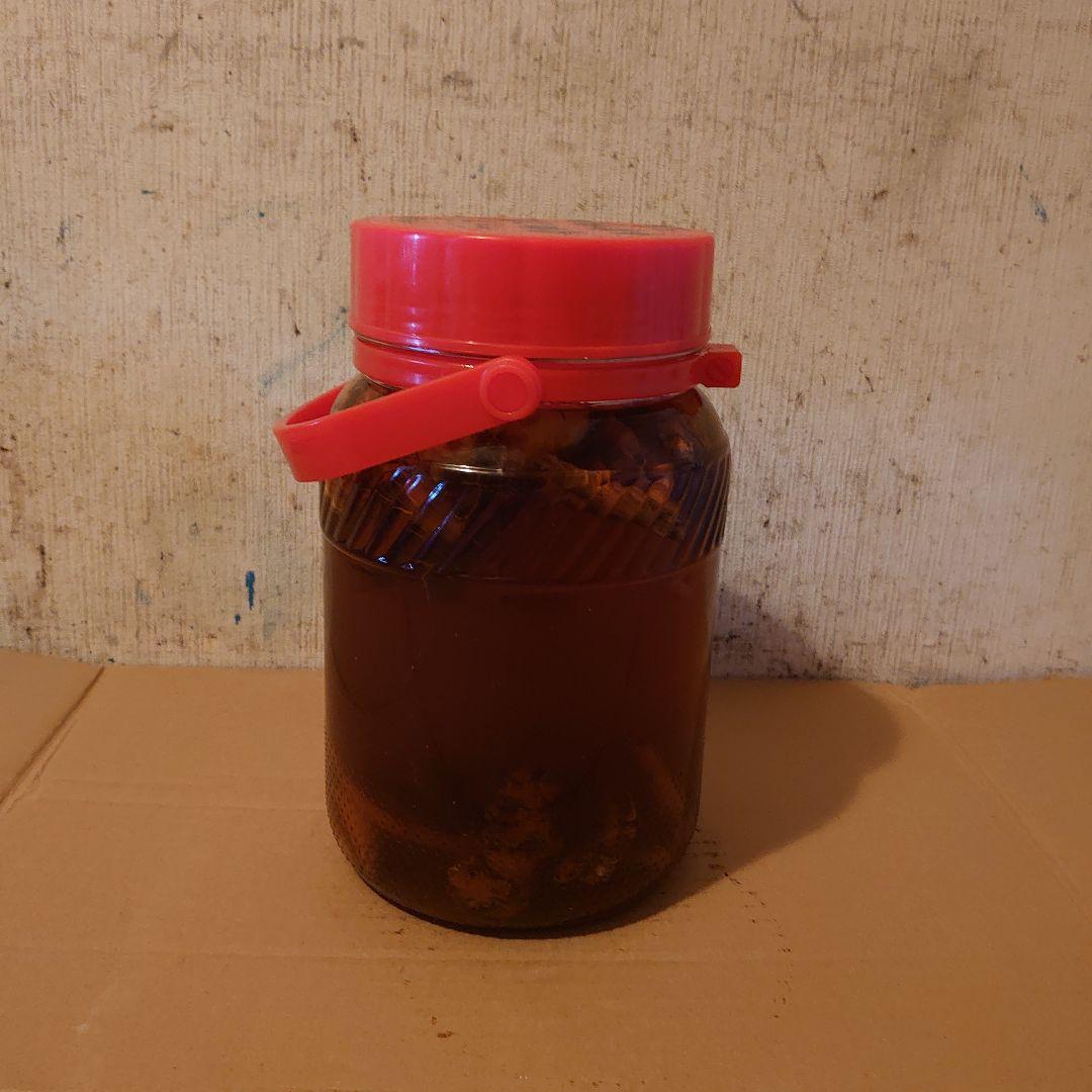 大阪府金剛山系二上山で採取りした天然物ツルニンジン酒3Ｌ入り ツルニンジン酒
