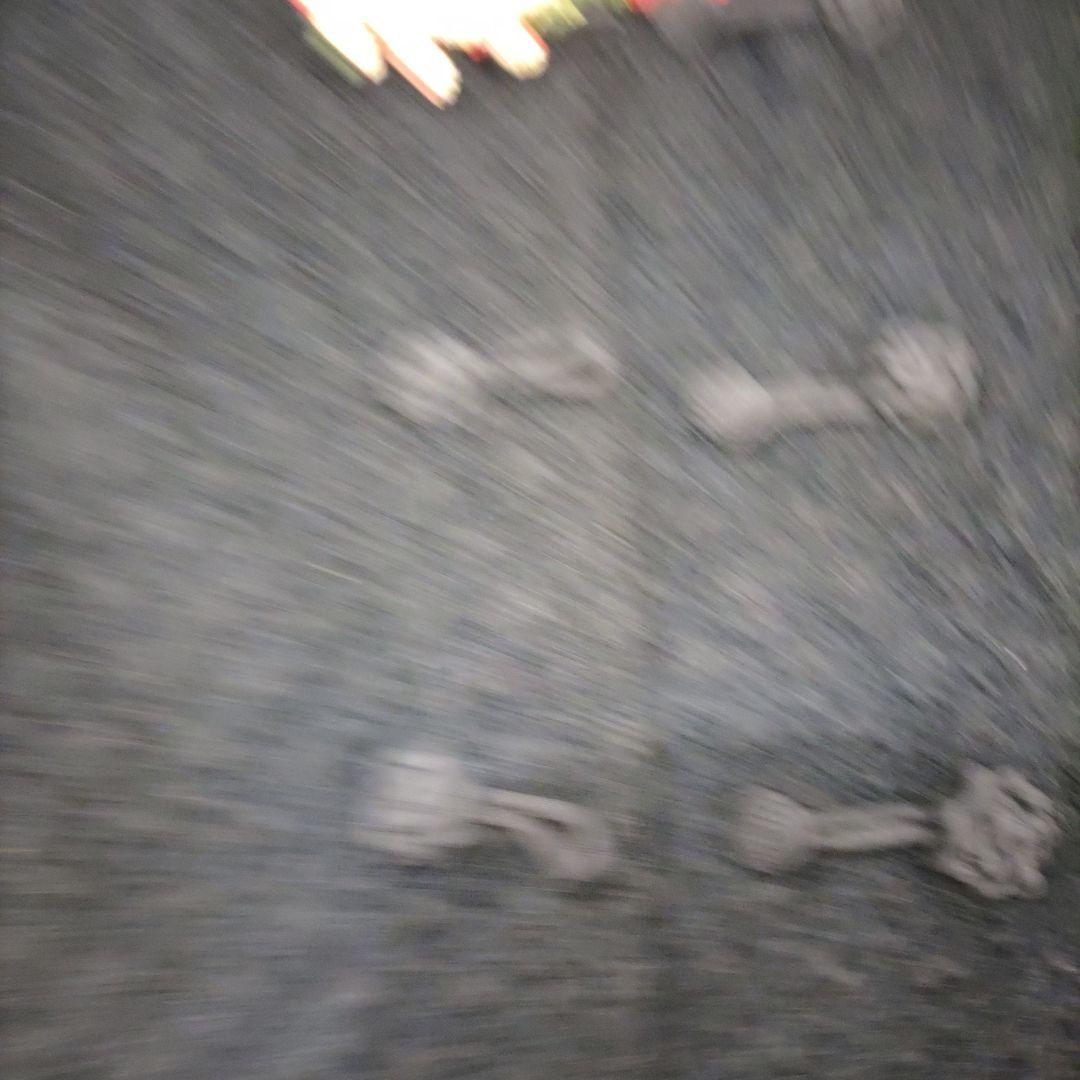 ワンダフルワールド　黒に豪華な花モチーフ付　モヘヤカーディガン 難有り