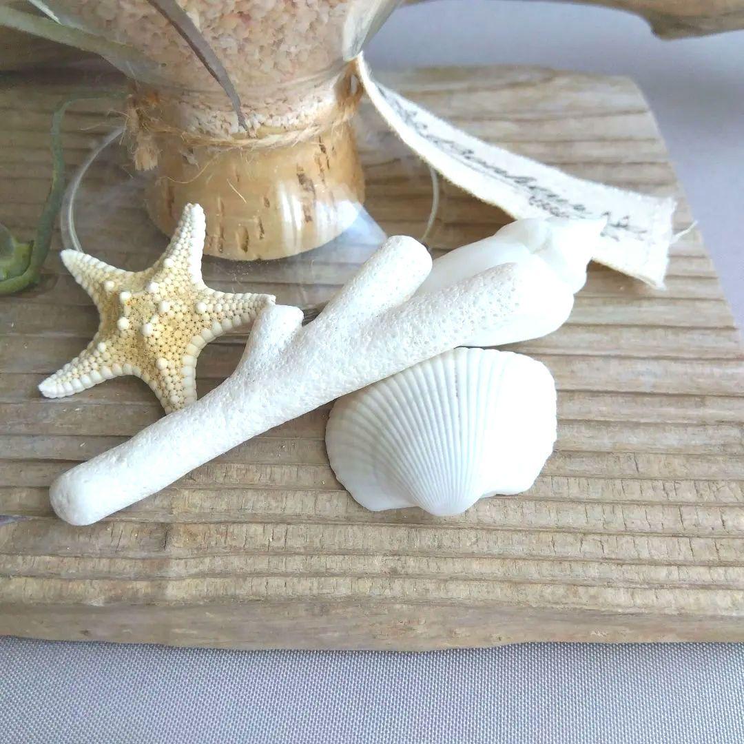 シーグラスリース シーグラス雑貨