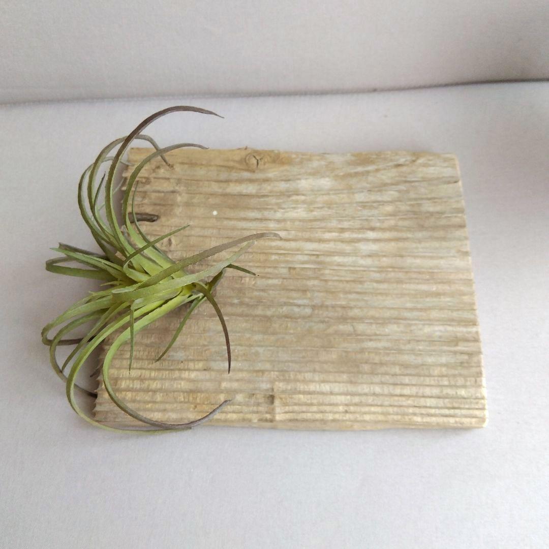 シーグラスリース シーグラス雑貨