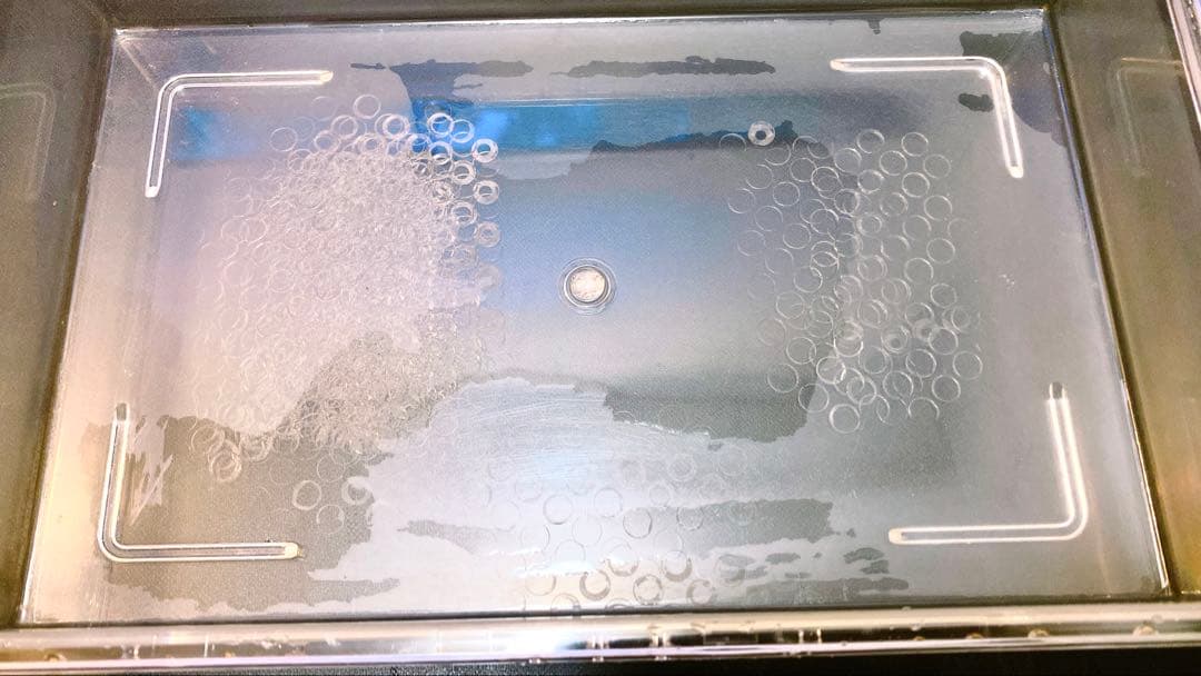 マ*ス様 爆安！グラステラリウム3045 レプティギア300 2個セット