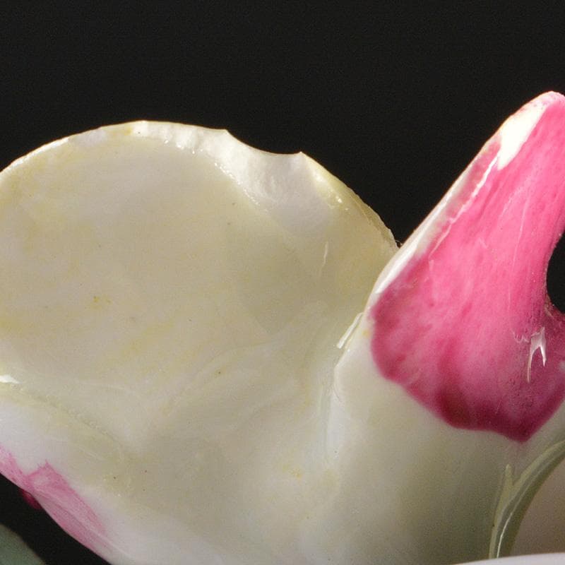 AYNSLEY　エインズレイ　陶花　置物　3点まとめて　C　6311