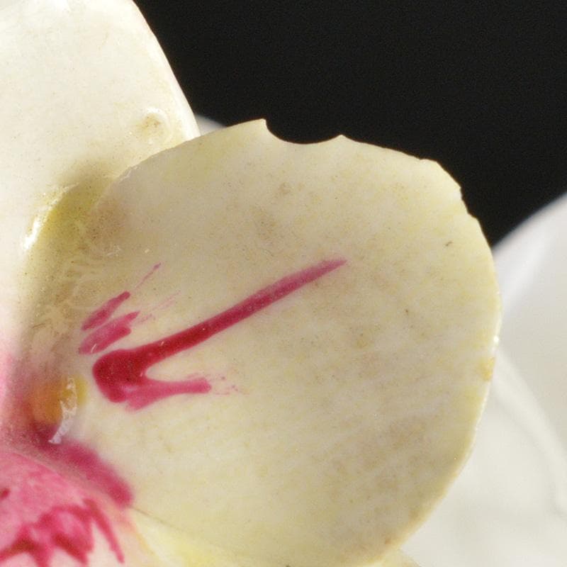 AYNSLEY　エインズレイ　陶花　置物　3点まとめて　C　6311