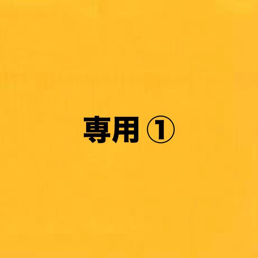 亜由美さま専用