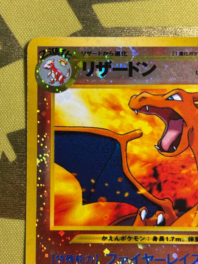 ポケモンカード リザードン ブラッキー エンテイ プレミアムファイル2 旧裏