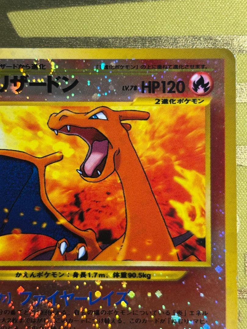 ポケモンカード リザードン ブラッキー エンテイ プレミアムファイル2 旧裏
