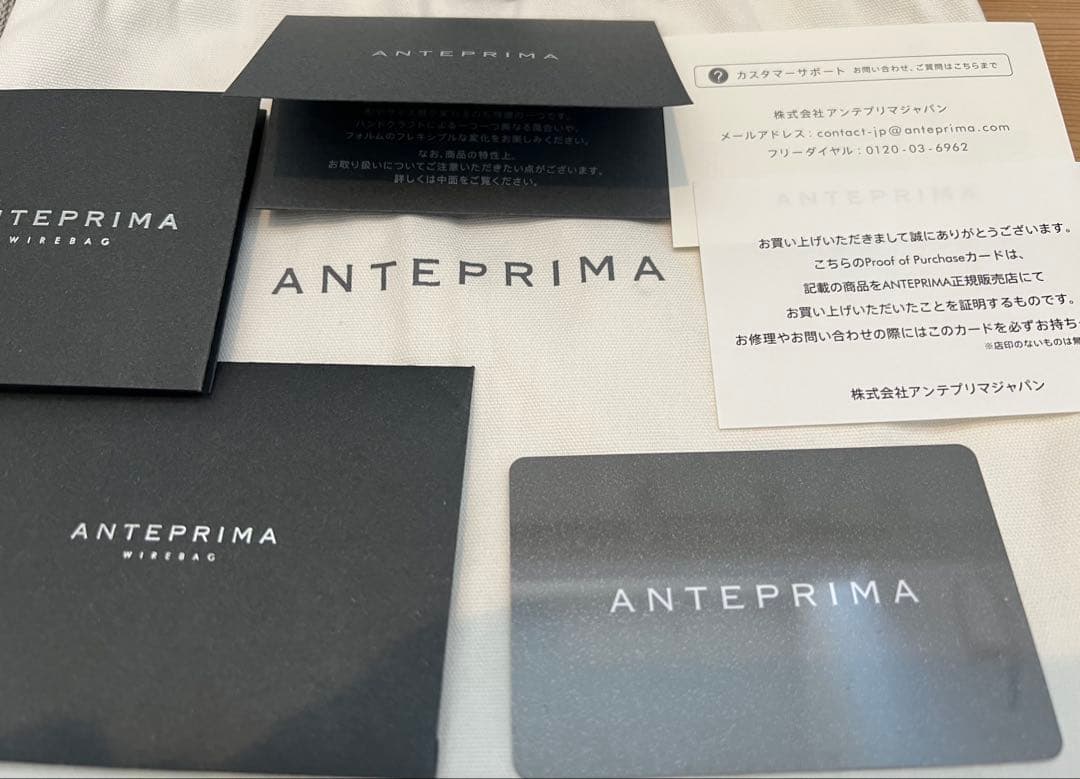 ANTEPRIMA ミニアトゥーラシルバー インナーバッグ付き