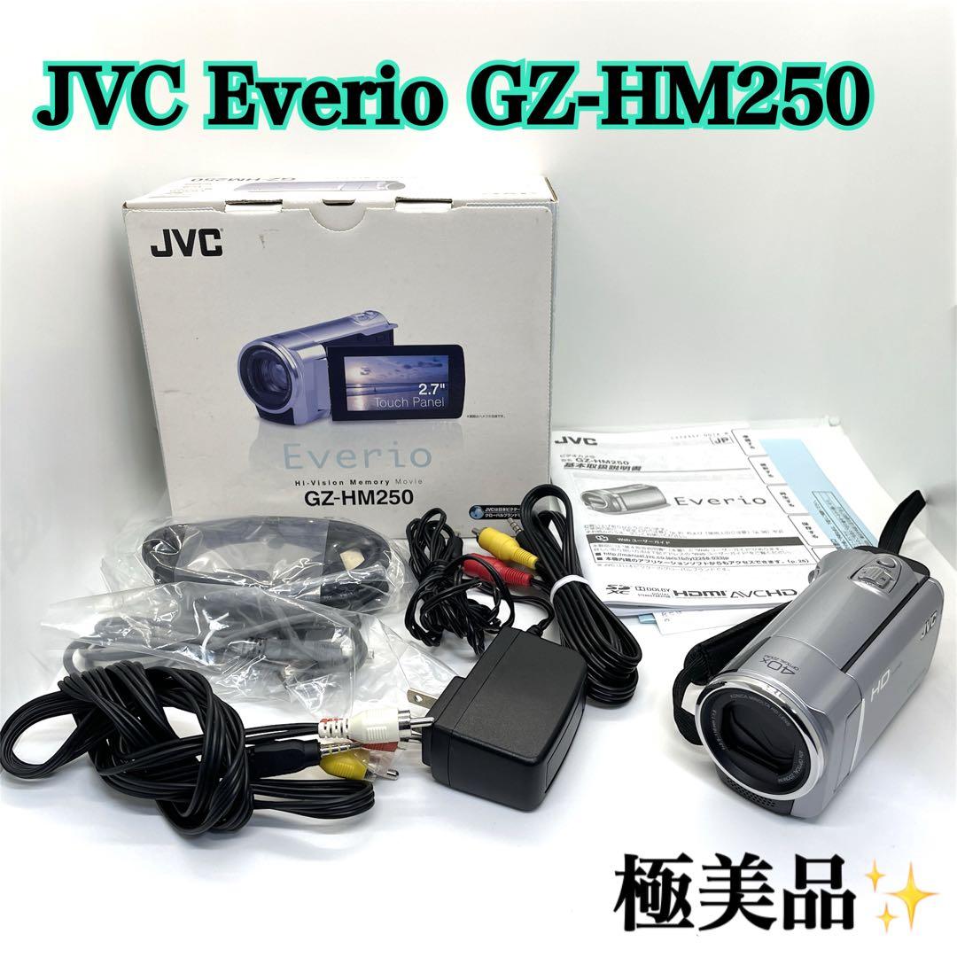 【極美品✨】JVC Everio GZ-HM250 エブリオ ビデオ カメラ