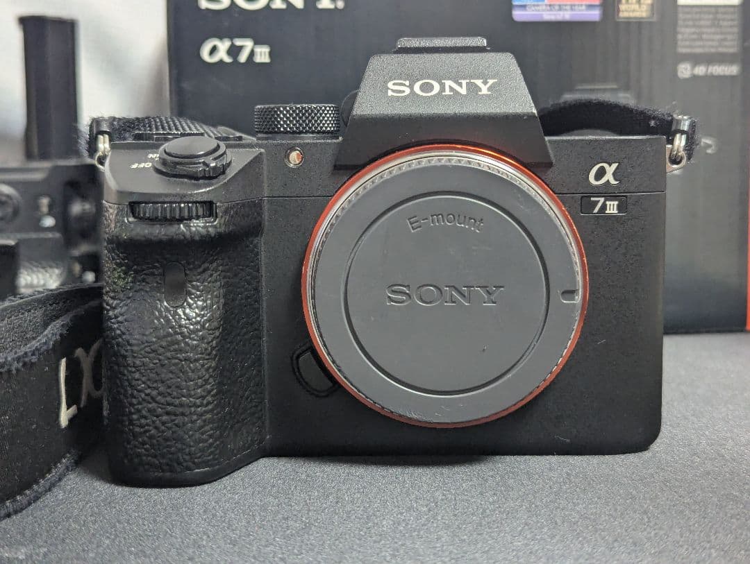 【説明必読】SONY α7 III ボディ + VG-C3EM（純正グリップ）