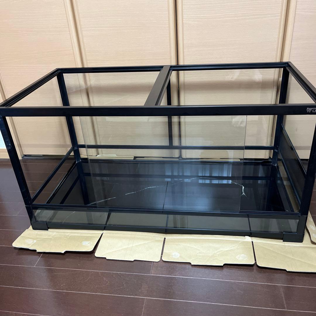 REPTI WILDパンテオン ブラック　BK9045