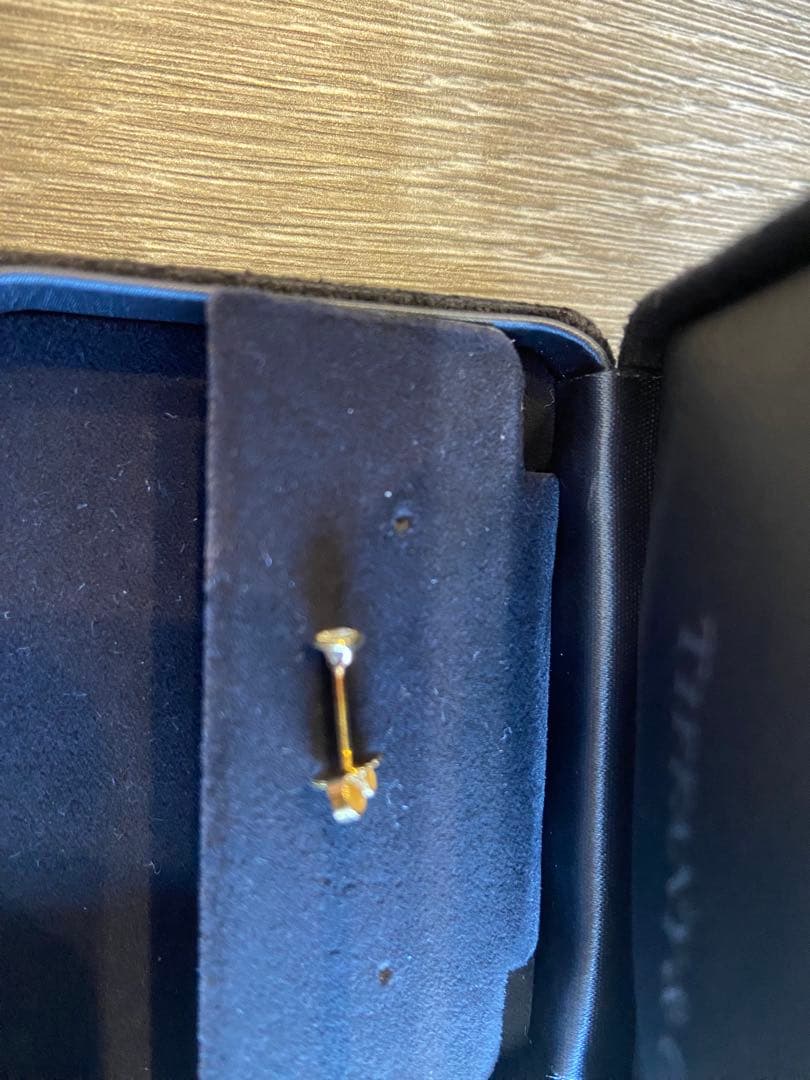 ティファニー　バイザヤードピアス片耳