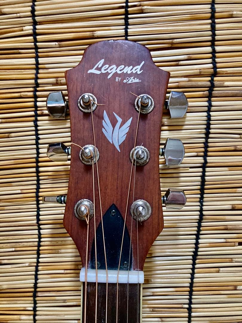 猫*様 ☆新年値下　アクティブコントローラを追加　エレアコ　Legend by