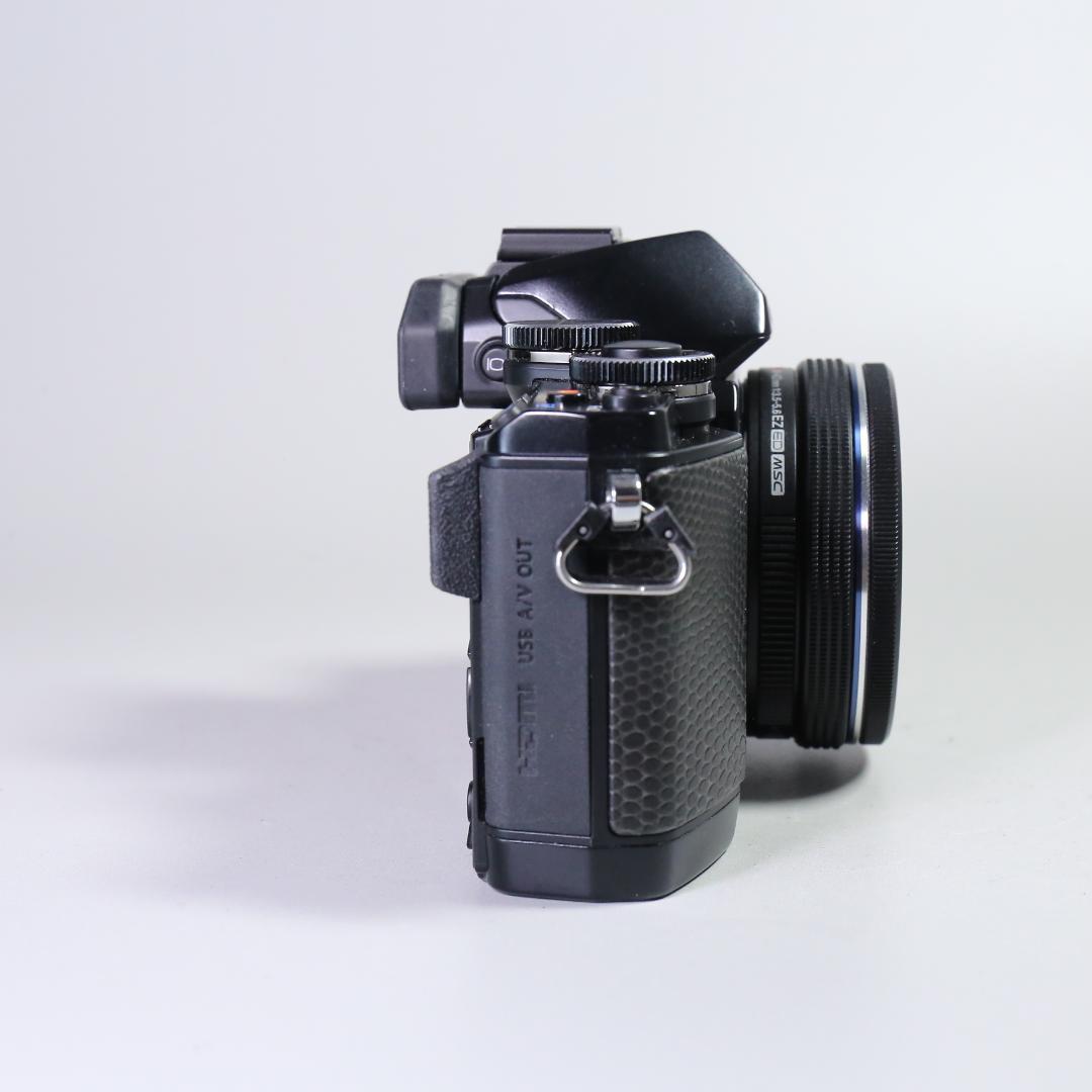 ☆特別限定モデル☆新品級 OLYMPUS OM-D E-M10 ＃355