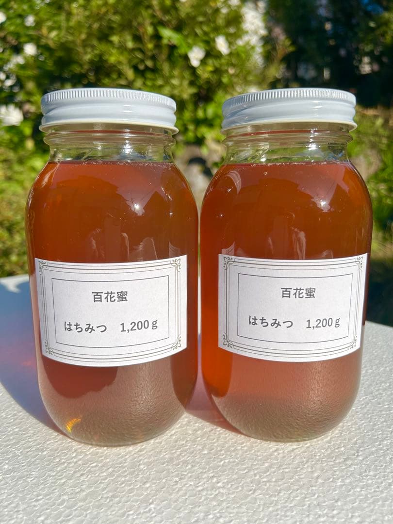 信州産　6月のはちみつ　1,200g×2本　　　　　野薔薇やトチノキなど