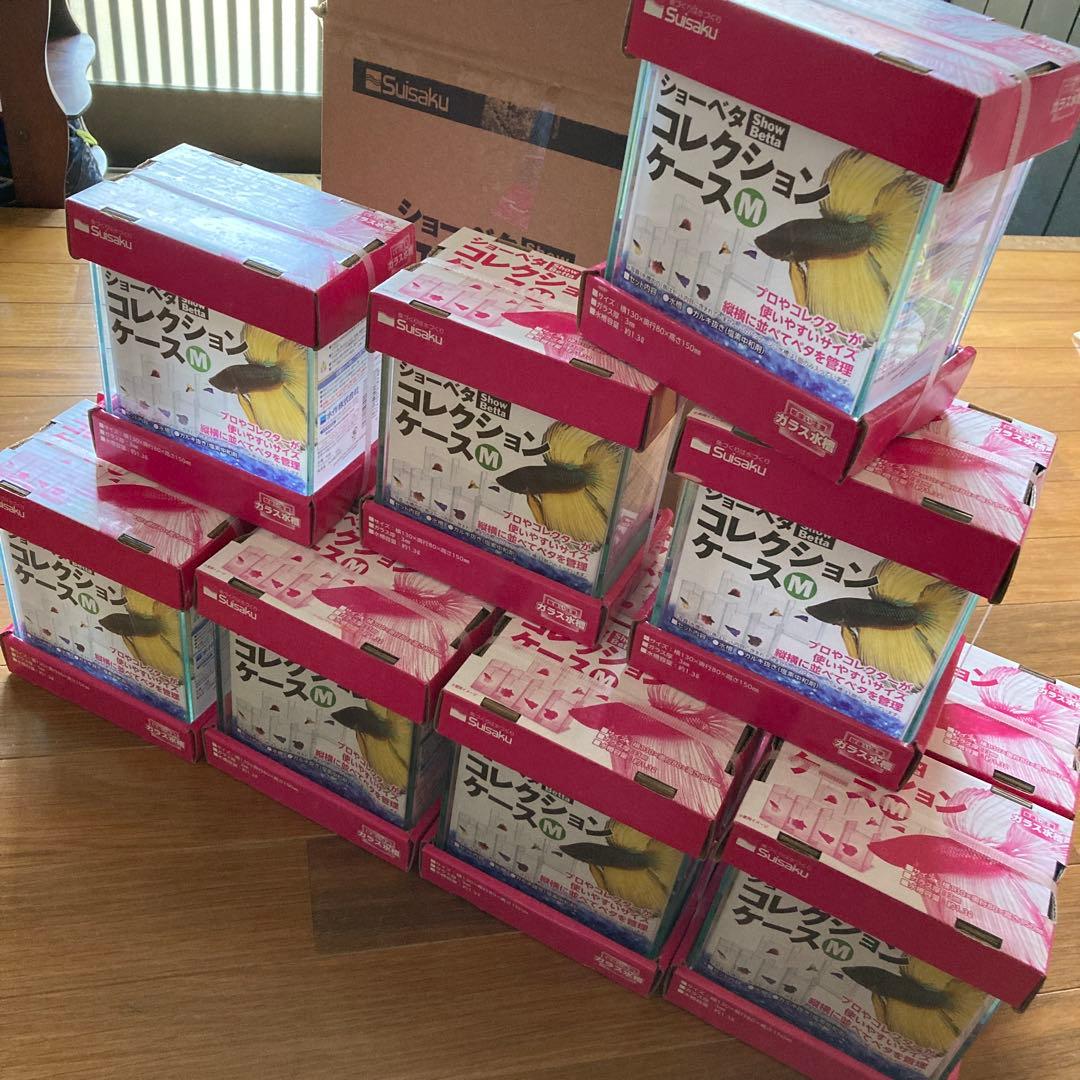 Suisaku ショーベタ コレクションケース M 12個