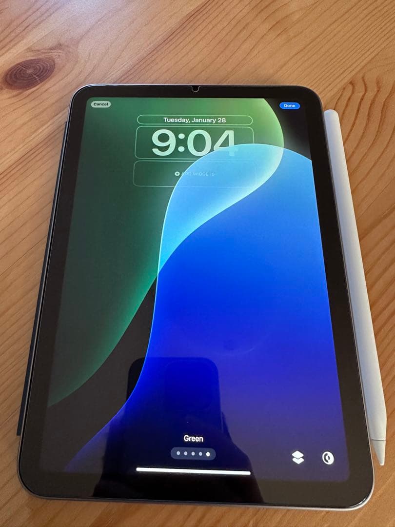 iPad本体 iPad mini 128GB