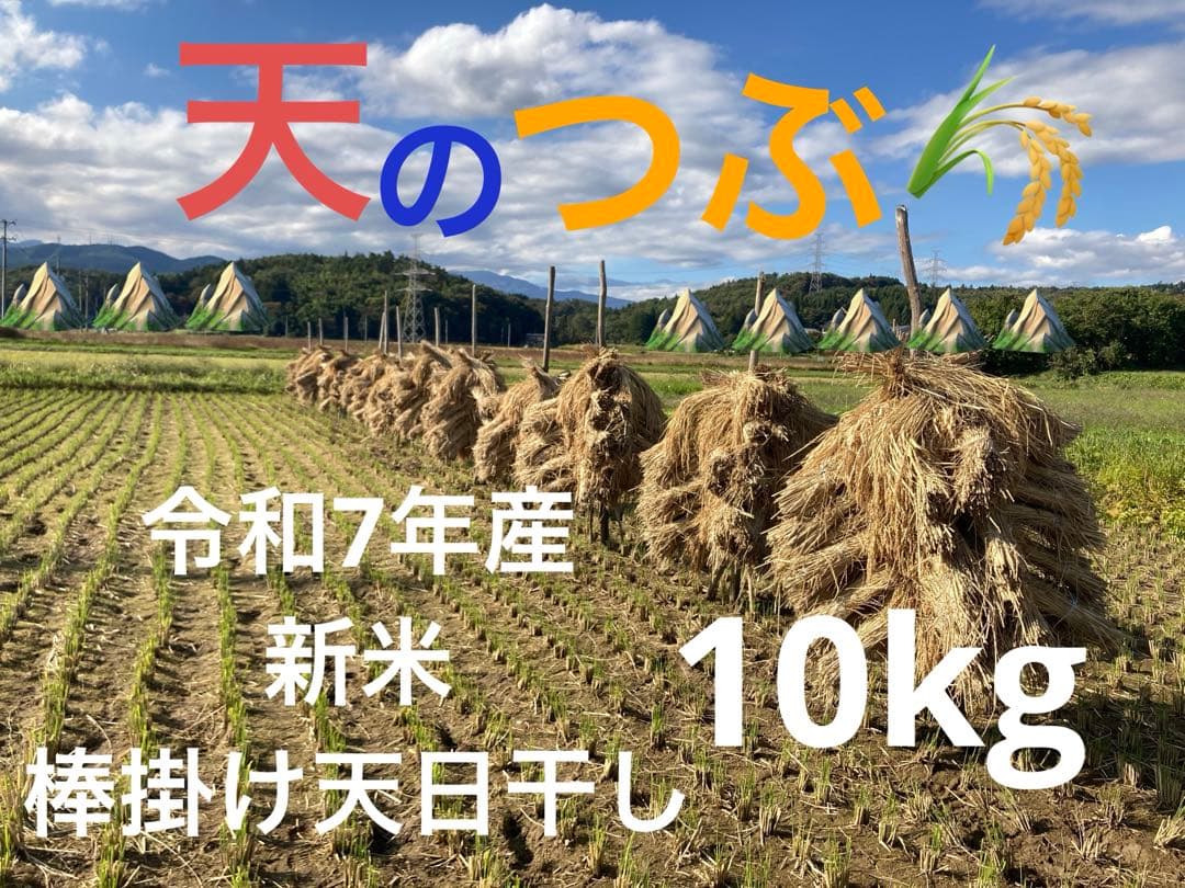 福島県産「天のつぶ」令和7年産新米 10kg 天日干し（棒掛け）