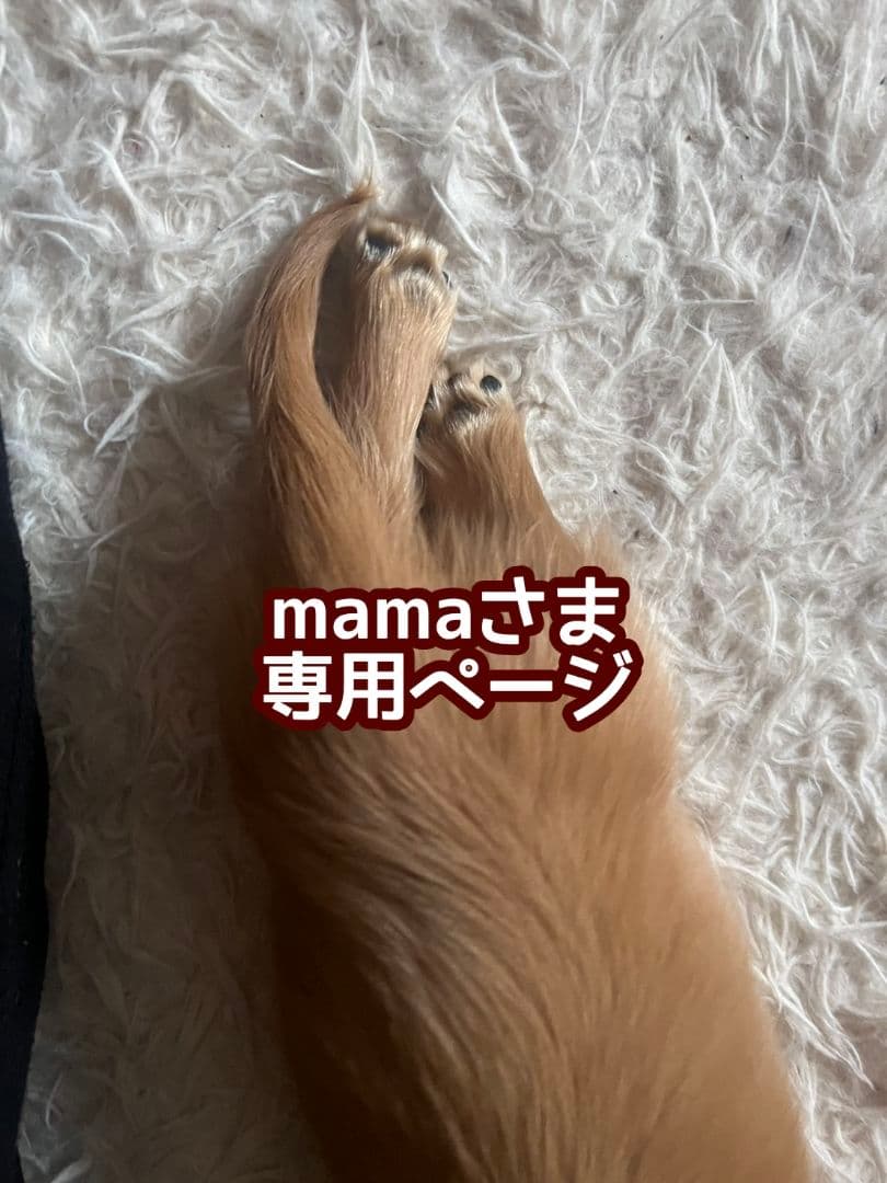 mamaさま専用ページ✧*。