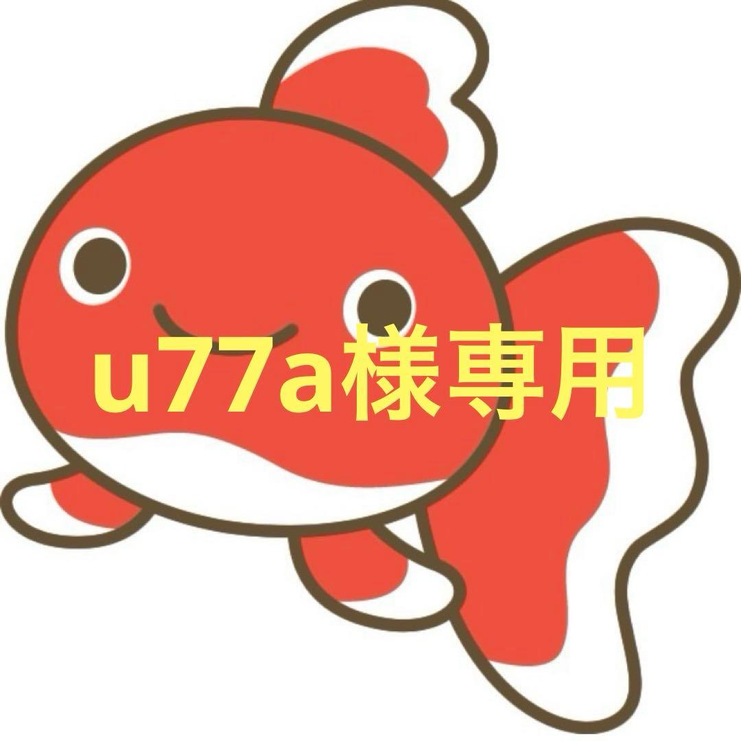 いちごどろぼう　スタンドカラーシャツ　ワンピース　２着