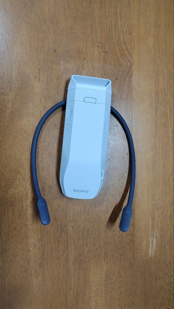 SONY　レオンポケットプロ　REON POCKET PRO