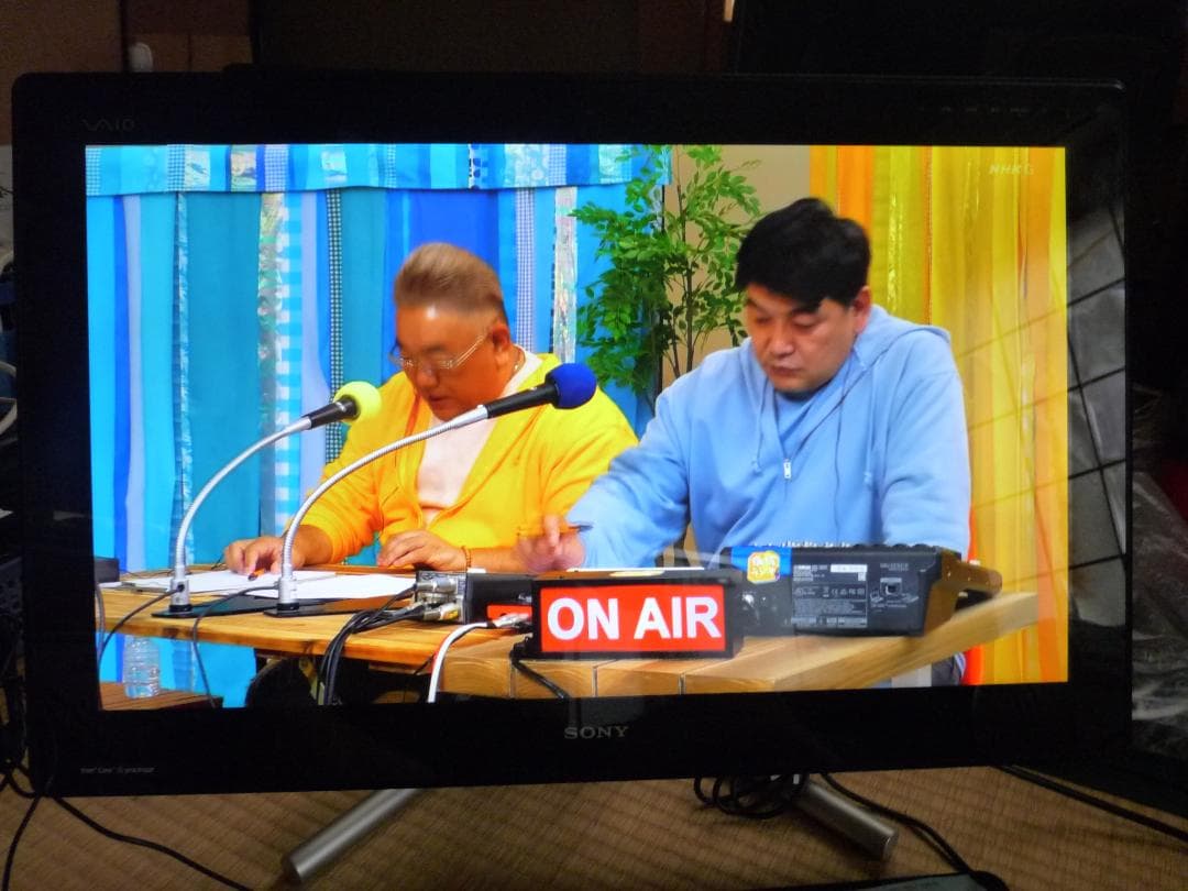 Sony VAIO Lシリーズ VPCL247FJ 難あり