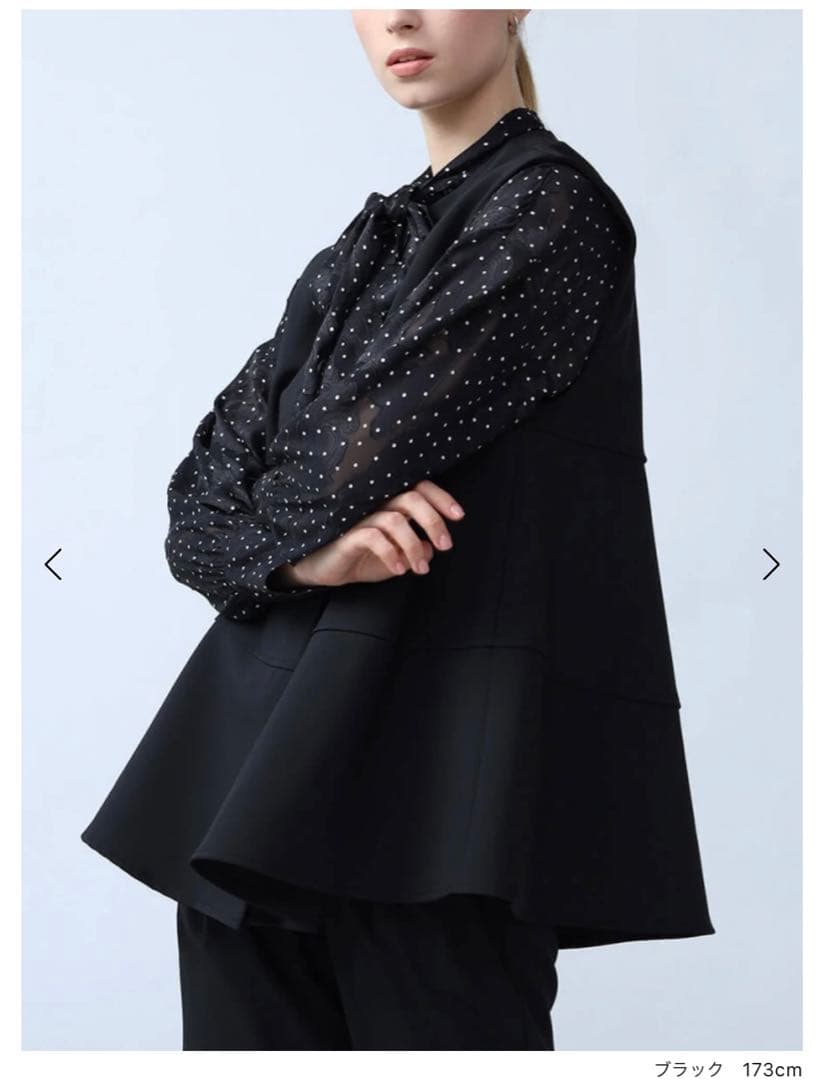 Aga ペプラムジレジャケット 9号　ブラック