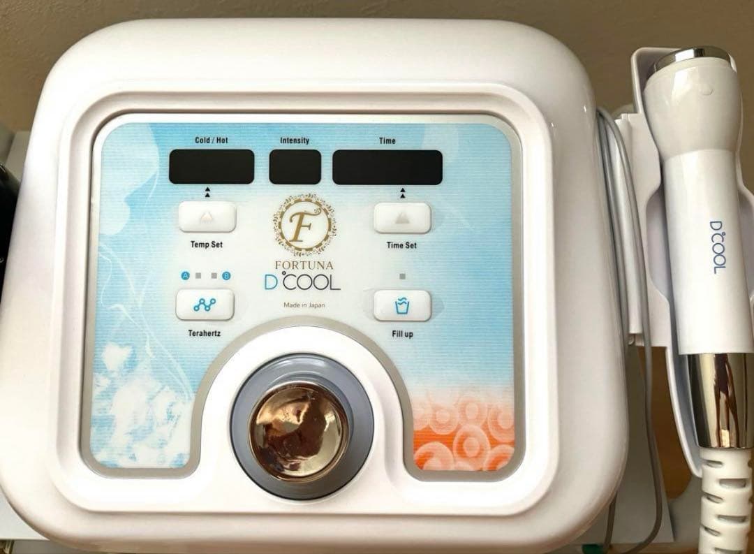 レチェオ！FORTUNA D COOL 業務用エレクトロポレーション