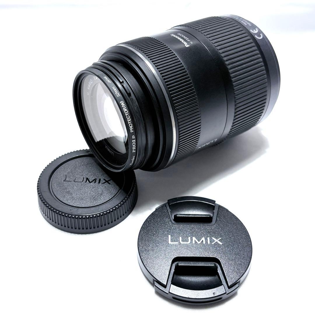 Panasonic LUMIX 望遠レンズ 45-200mm F4-5
