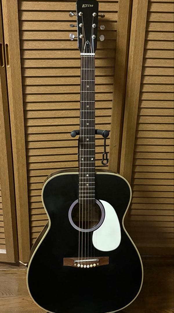 Elite エリート F100 TAKAMINE GAKKI 60年代