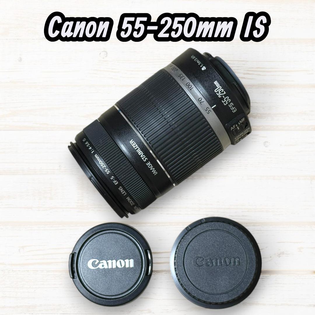 Canon ズームレンズ EF-S 55-250mm IS #119