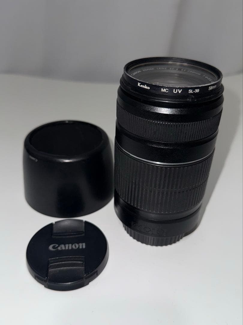 レンズ(ズーム) Canon EF-S 55-250mm F4-5.6 IS STM