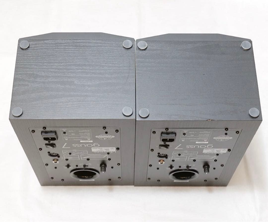 配信機器・PA機器・レコーディング機器 Avantone Pro Gauss 7