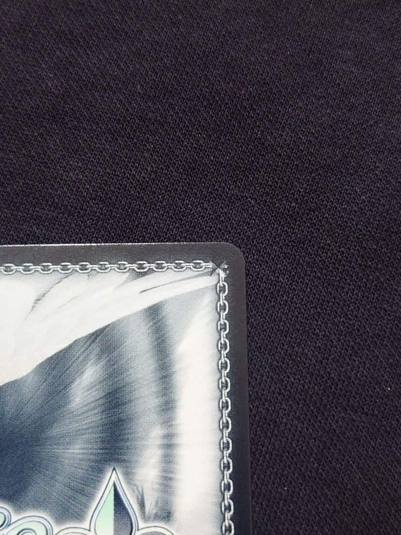 ヴァイス ウマ娘　舞台の真ん中にダンツフレーム　SP　サイン